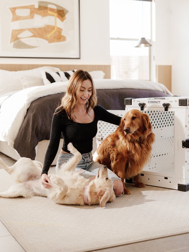 pexels-impact-dog-crates-1789722873-30268667
